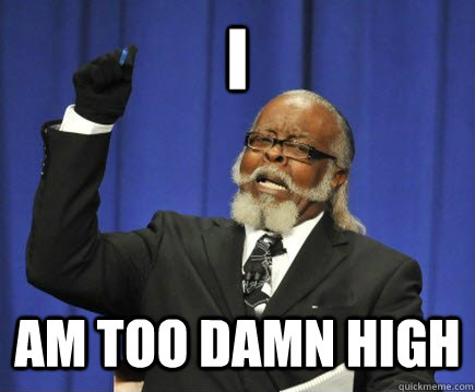 i am too damn high - Too Damn High