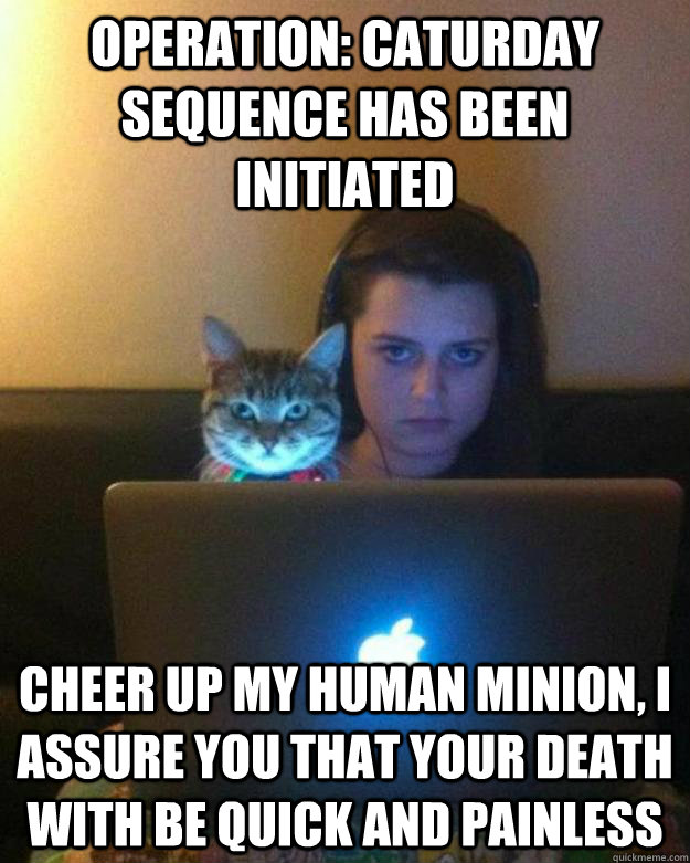 operation caturday sequence has been initiated cheer up my - OPERATION CATURDAY