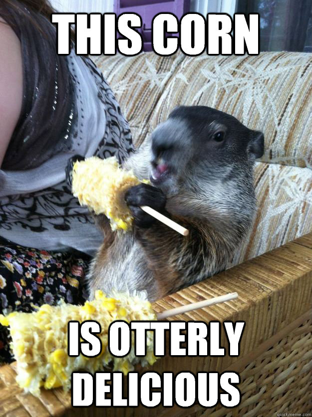 this corn is otterly delicious -