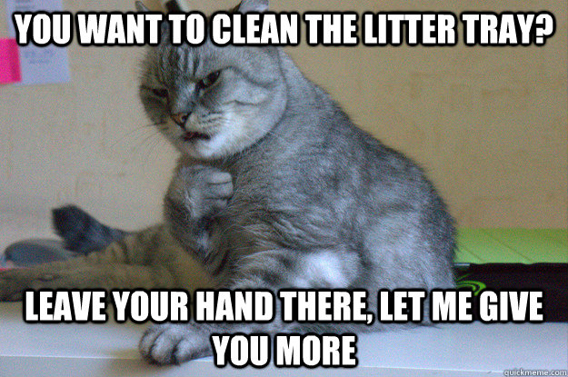 you want to clean the litter tray leave your hand there le - Sadistic Cat