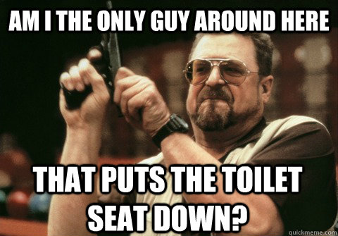 am i the only guy around here that puts the toilet seat down - Am I the only one
