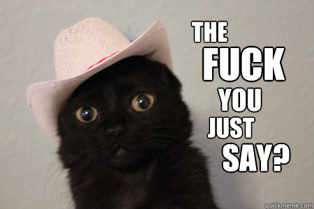  the fuck you just say - The Fuck Cat