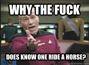 why the fuck does know one ride a horse - Annoyed Picard