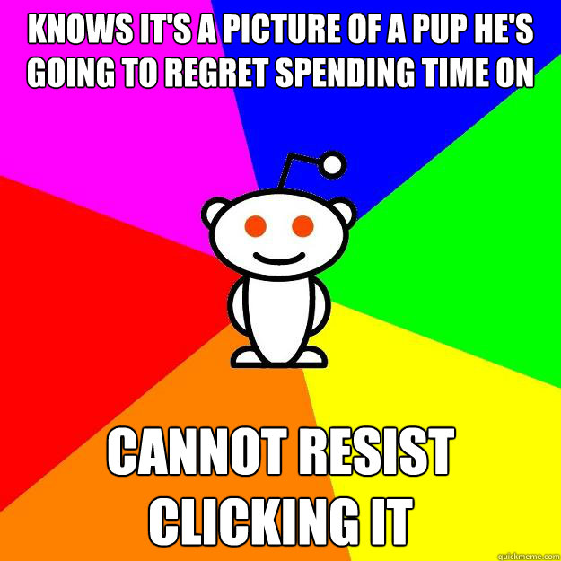 knows its a picture of a pup hes going to regret spending - Reddit Alien