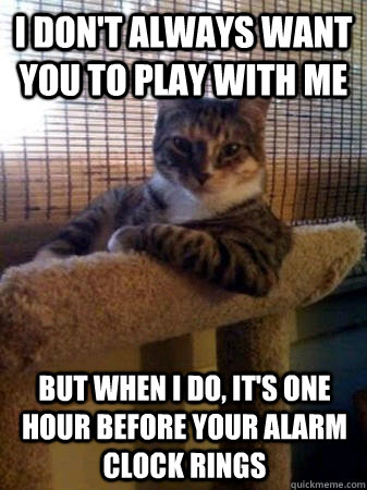 i dont always want you to play with me but when i do its - The Most Interesting Cat in the World