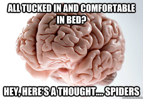 all tucked in and comfortable in bed hey heres a thought - Scumbag Brain