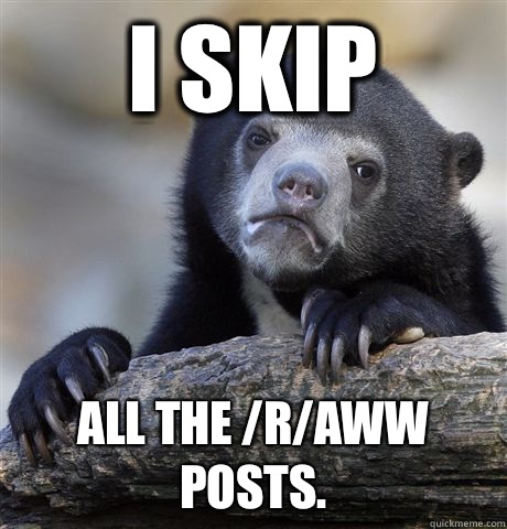 I skip Im smarter than most people - Confession Bear