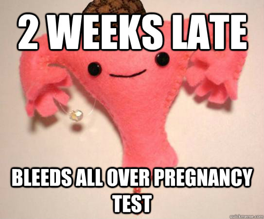 2 weeks late bleeds all over pregnancy test - Scumbag Uterus