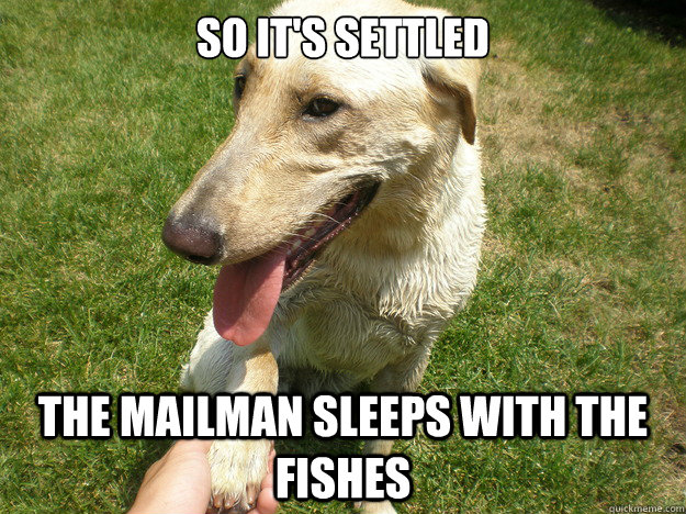 so its settled the mailman sleeps with the fishes - Evil Business Deal Dog
