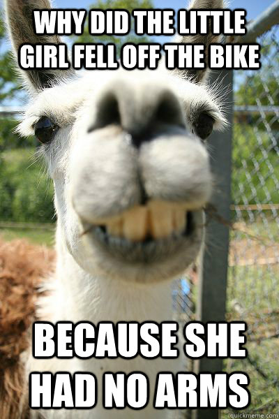 why did the little girl fell off the bike because she had no - Cruel Joke Llama