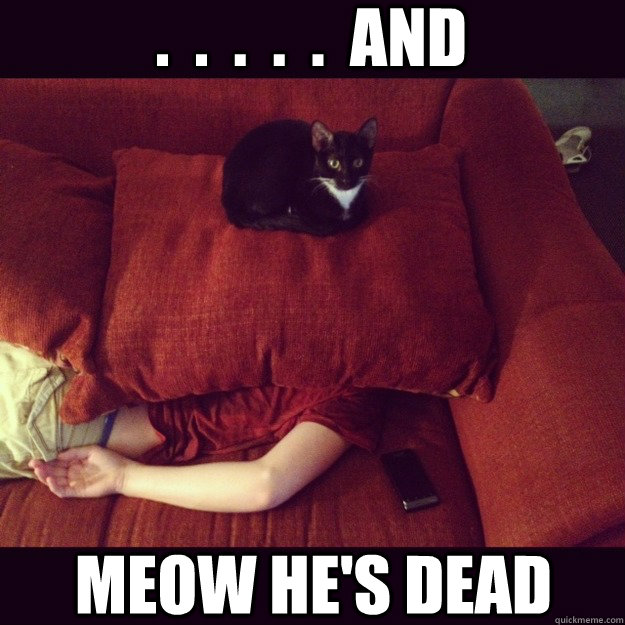 and meow hes dead - jealous cat
