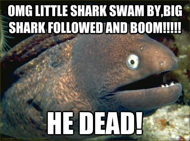 omg little shark swam bybig shark followed and boom he - Bad Joke Eel