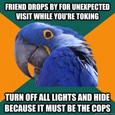 friend drops by for unexpected visit while youre toking tur - Paranoid Parrot