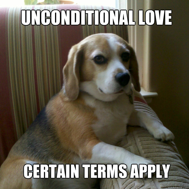 unconditional love certain terms apply - judgmental dog