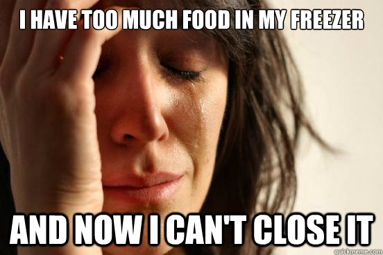 i have too much food in my freezer and now i cant close it - First World Problems