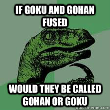 if goku and gohan fused would they be called gohan or goku - Bo Philosorapter