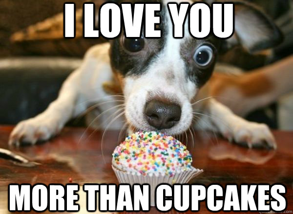 I love you more than cupcakes - Cupcake puppy - quickmeme