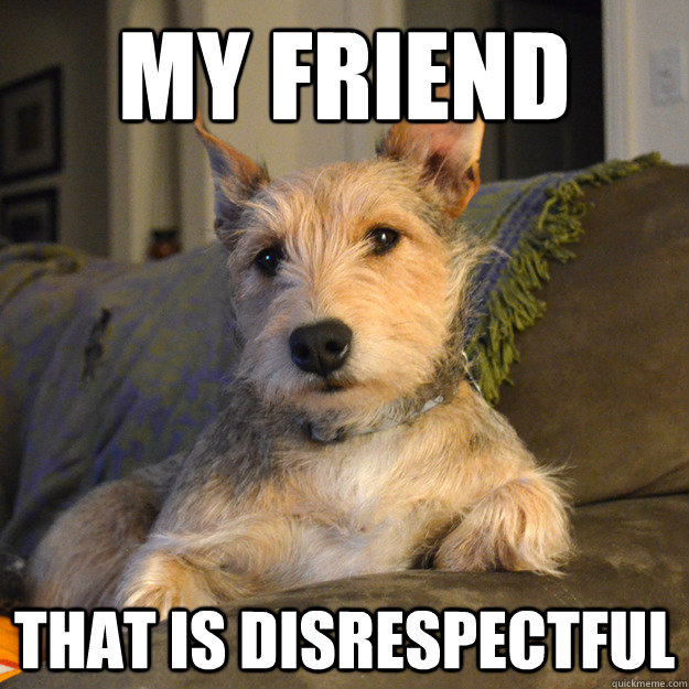 my friend that is disrespectful - My friend dog