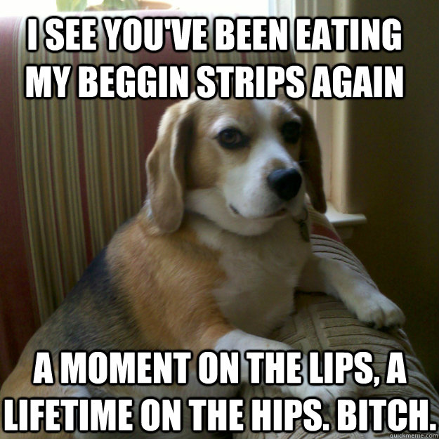 i see youve been eating my beggin strips again a moment on - judgmental dog