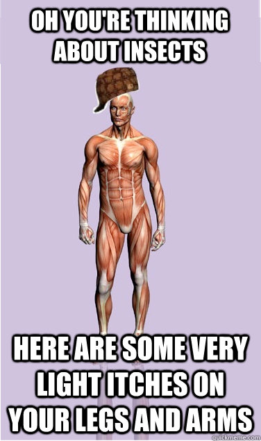 oh youre thinking about insects here are some very light it - Scumbag Body