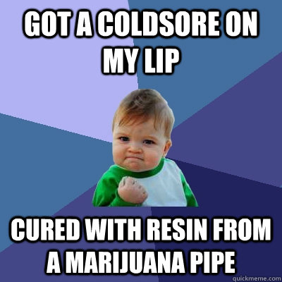 got a coldsore on my lip cured with resin from a marijuana p - Success Kid
