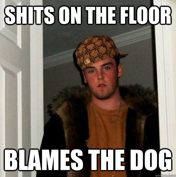 shits on the floor blames the dog - Scumbag Steve