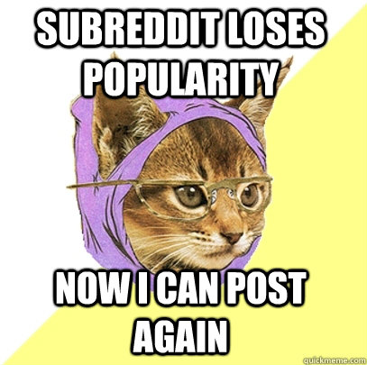 subreddit loses popularity now i can post again - Hipster Kitty