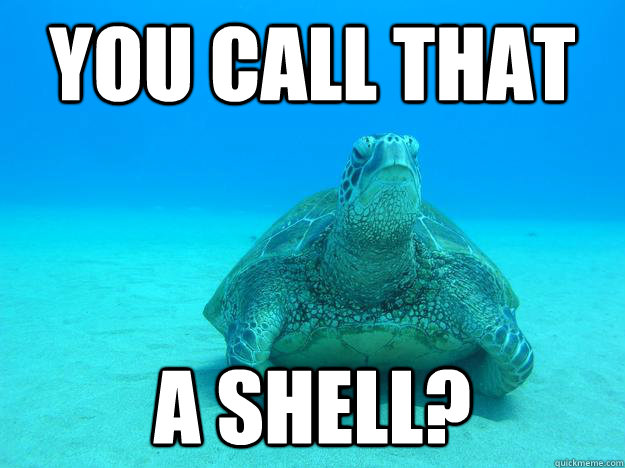 you call that a shell -