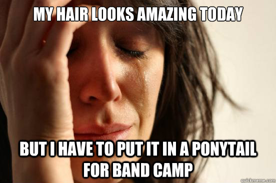 my hair looks amazing today but i have to put it in a ponyta - First World Problems