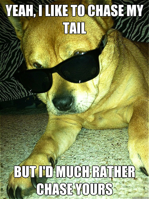 yeah i like to chase my tail but id much rather chase your - sMUTT