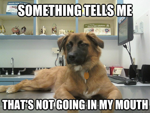 something tells me thats not going in my mouth - Suspicious Dog