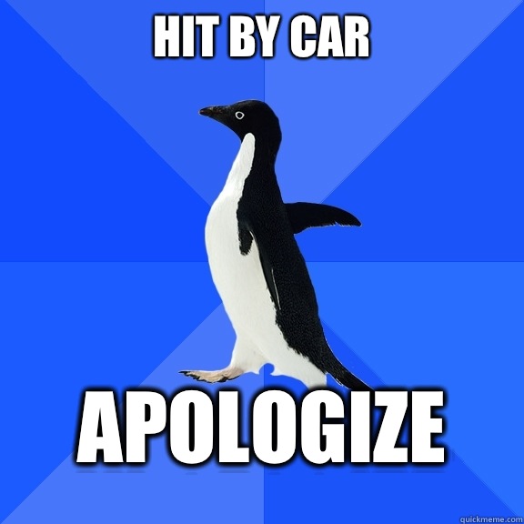 Hit by car apologize - Socially Awkward Penguin