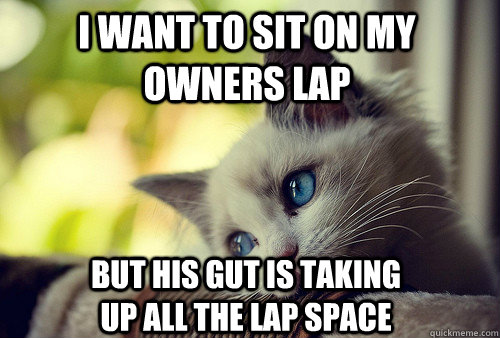 i want to sit on my owners lap but his gut is taking up all - First World Cat Problems