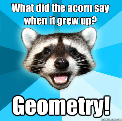 what did the acorn say when it grew up geometry - Lame Pun Coon