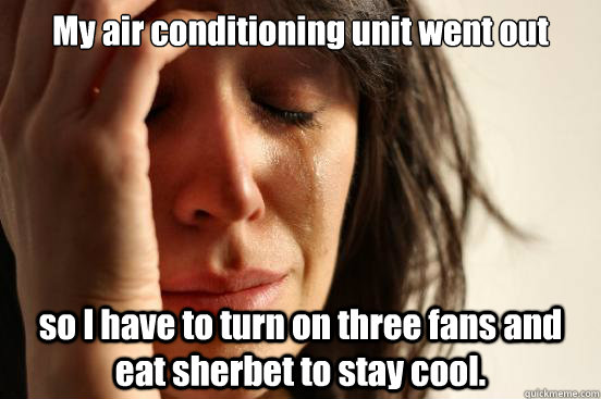 my air conditioning unit went out so i have to turn on three - First World Problems