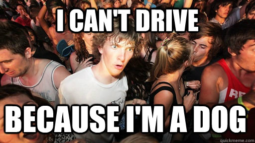 i cant drive because im a dog - Sudden Clarity Clarence