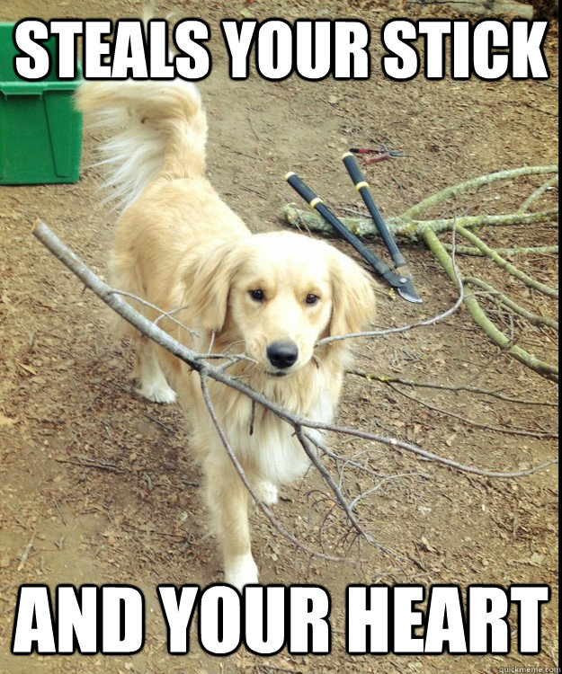 steals your stick and your heart - RPGR