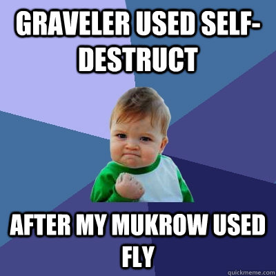 graveler used selfdestruct after my mukrow used fly - Success Kid