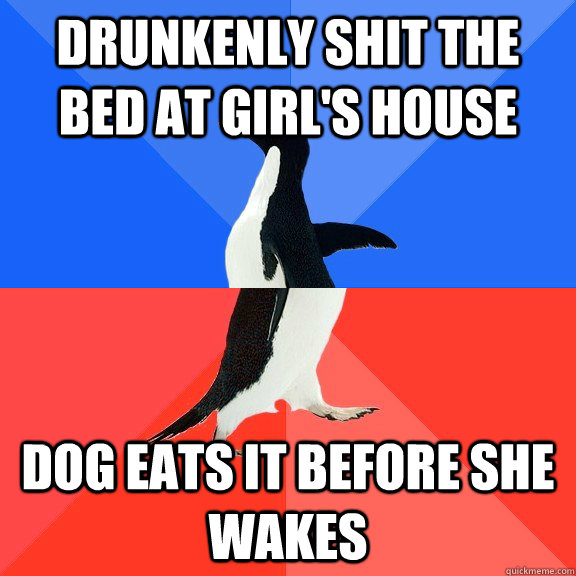 drunkenly shit the bed at girls house dog eats it before sh - Socially Awkward Awesome Penguin