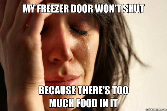 my freezer door wont shut because theres too much food in - First World Problems