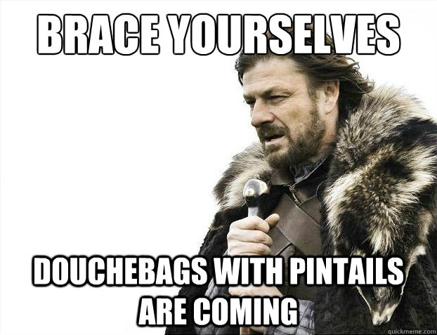 brace yourselves douchebags with pintails are coming - Brace Yourselves - Borimir