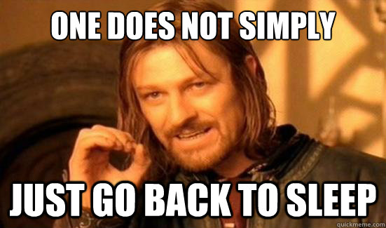 one does not simply just go back to sleep - Boromir