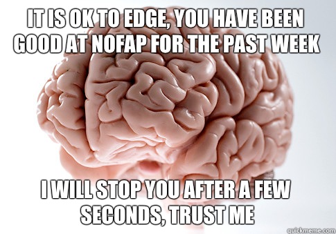 It is ok to edge you have been good at nofap for the past we - Scumbag Brain