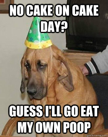 no cake on cake day guess ill go eat my own poop - Sad Birthday Dog