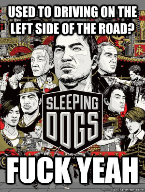 used to driving on the left side of the road fuck yeah - sleeping dogs