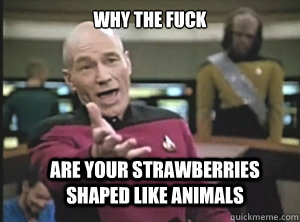 why the fuck are your strawberries shaped like animals - Annoyed Picard