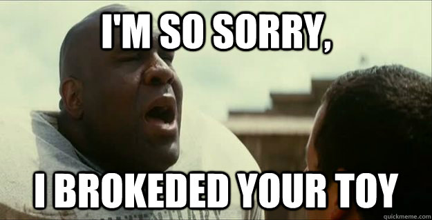 im so sorry i brokeded your toy -