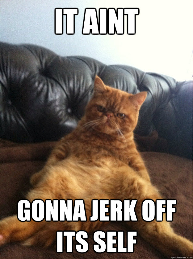 it aint gonna jerk off its self -