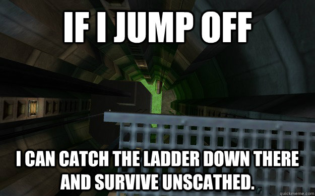if i jump off i can catch the ladder down there and survive -