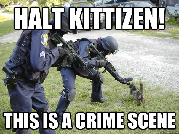 halt kittizen this is a crime scene -